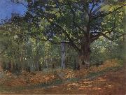 Claude Monet The Bodmer Oak,Forest of Fontainebleau oil